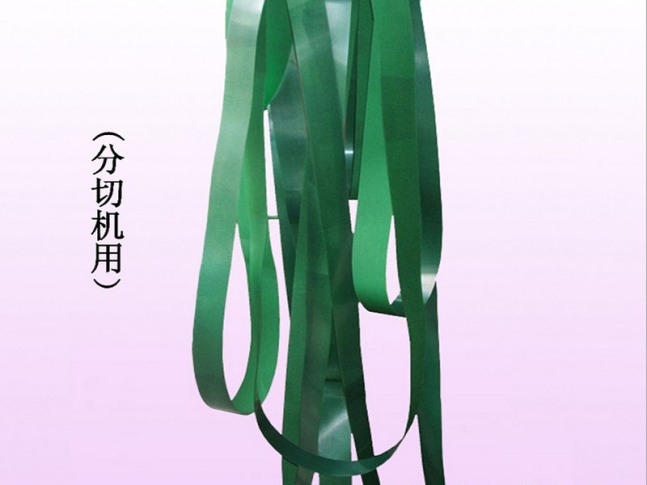分切機用單光面尼龍片基平帶
