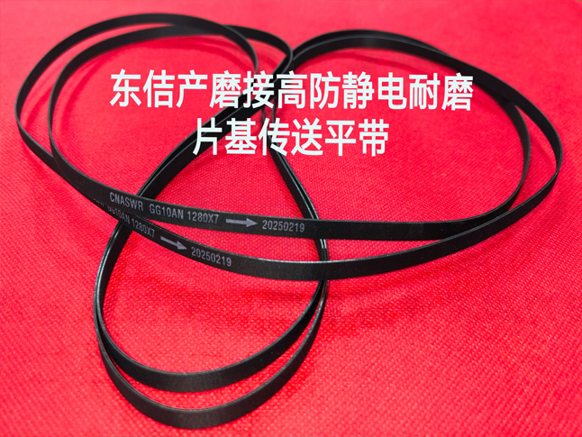 GG10AN高防靜電耐磨尼龍片基傳送平帶