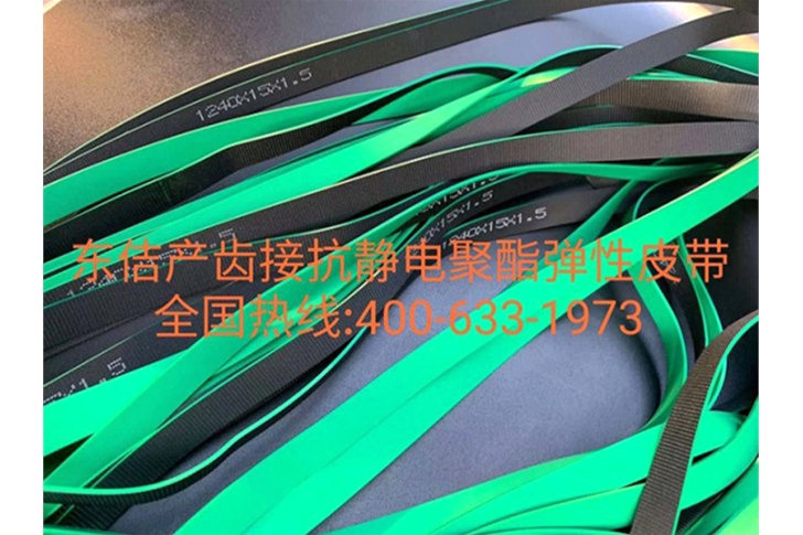 彈性輸送帶