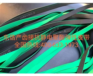 彈性輸送帶